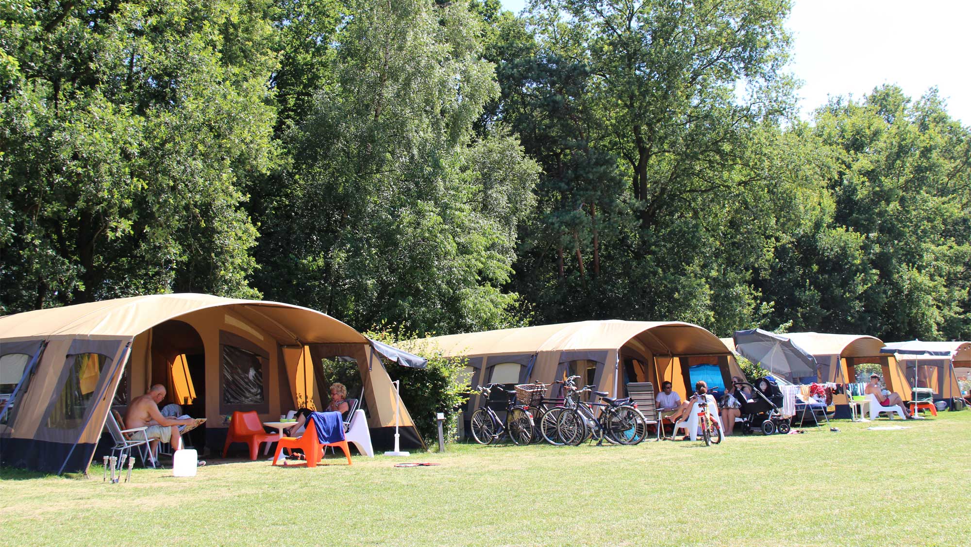 Wens Verdorie Cerebrum 6pers ingerichte tent camping De Koerberg, Veluwe | Molecaten
