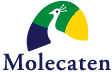 Molecaten